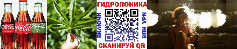 как найти закладки  Белокуриха  ОМГ ОМГ зеркало  Еда ТГК конопля 