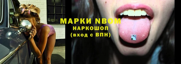 амф Аркадак