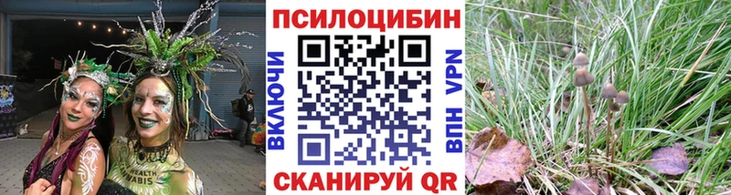МЕГА ссылки  цены наркотик  Белокуриха  Галлюциногенные грибы Psilocybine cubensis 